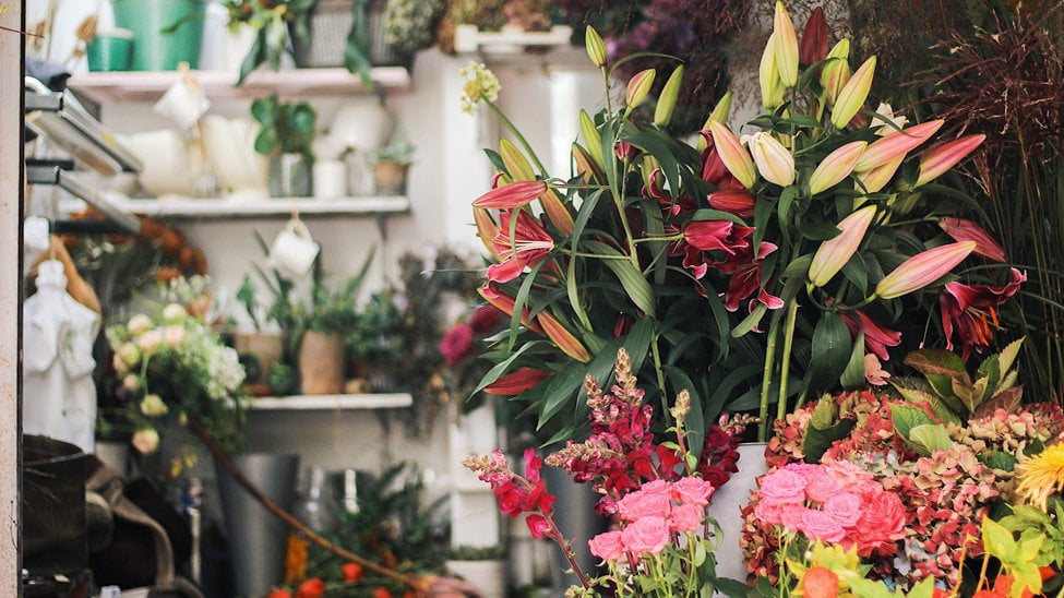 A diverse group of professionals working in various non-traditional floral industry careers, including marketing, wholesaler sales, and buyer positions.